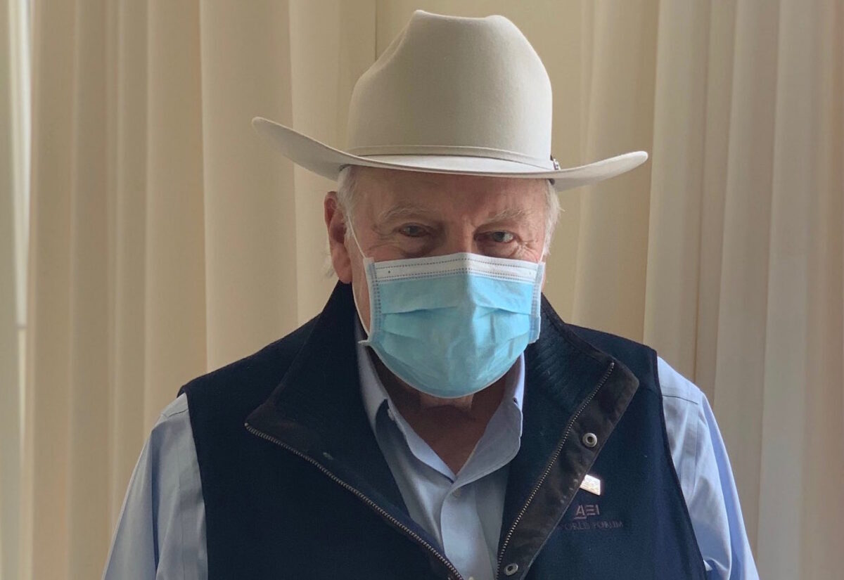 dick cheney mask