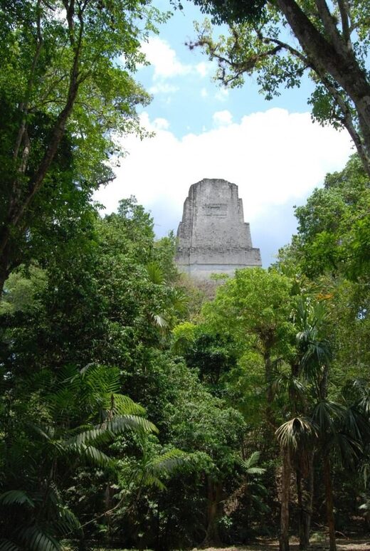 Click to enlarge Tikal