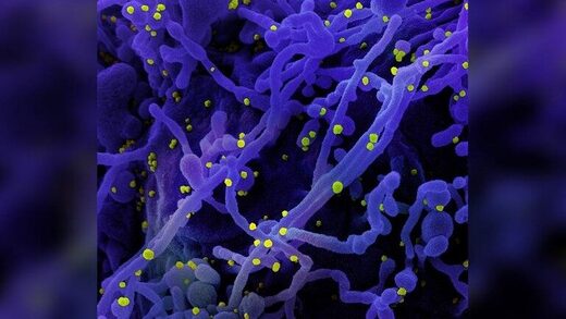 Click to enlarge coronavirus