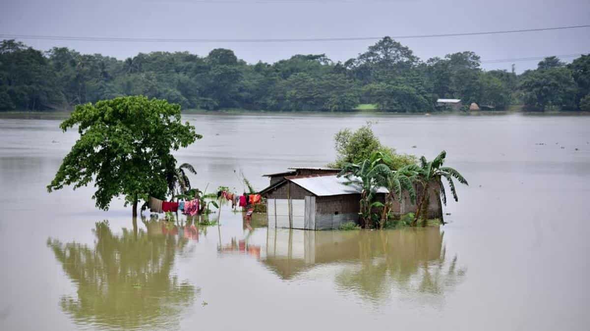 Click to enlarge FLOOD