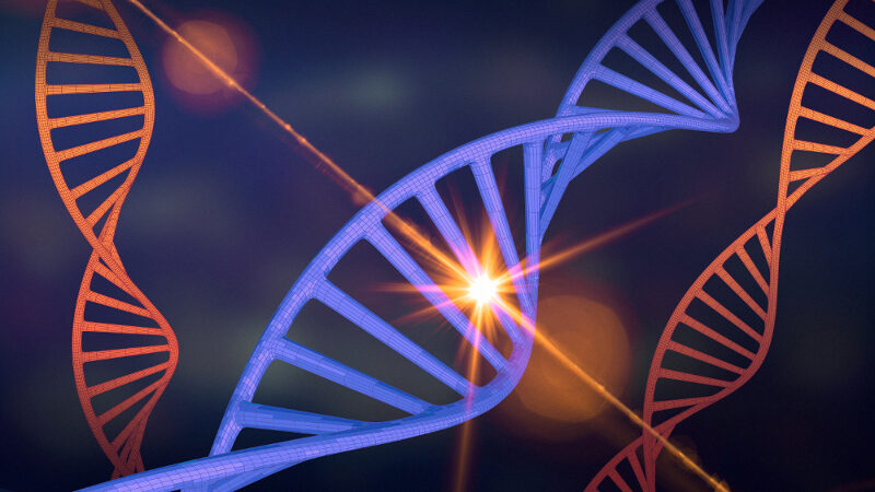 Cosmic Rays and DNA