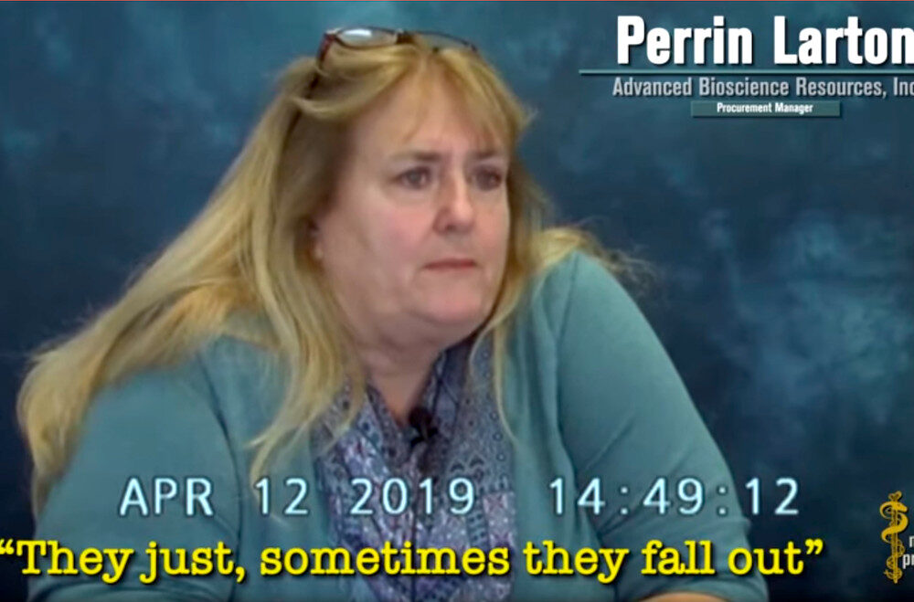 Perrin Larton, Planned Parenthood