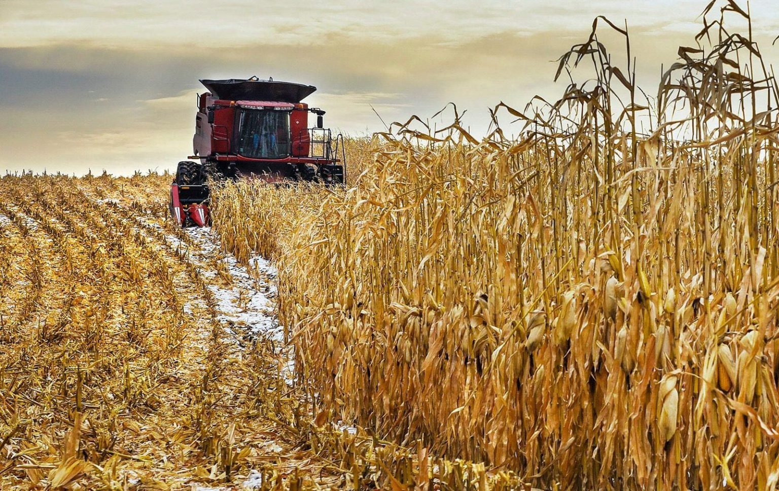 US harvest