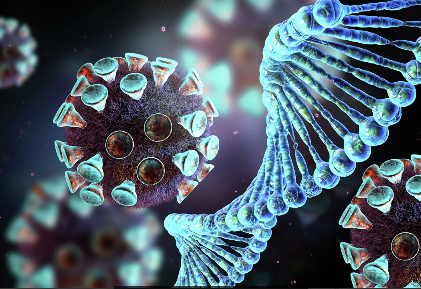coronavirus