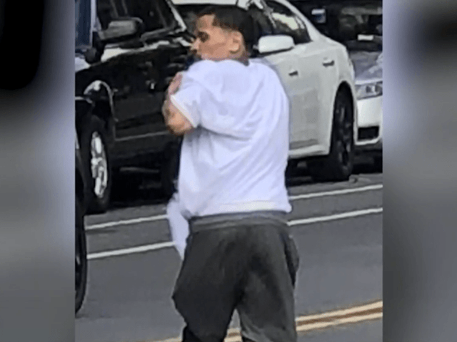 man allegedly slashes todler new york