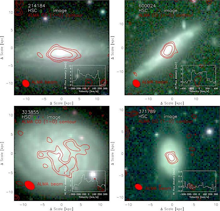 Click to enlarge FAST observations charts
