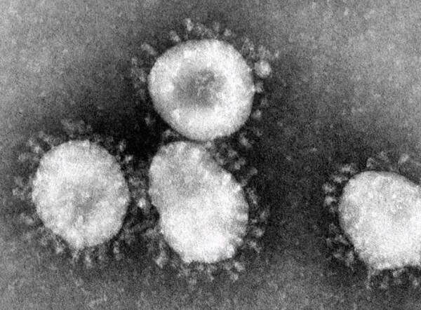 Click to enlarge coronavirus
