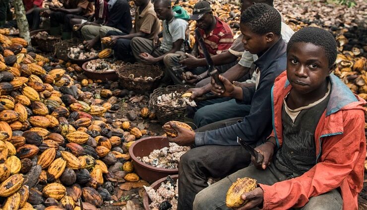 Click to enlarge child labor chocolate