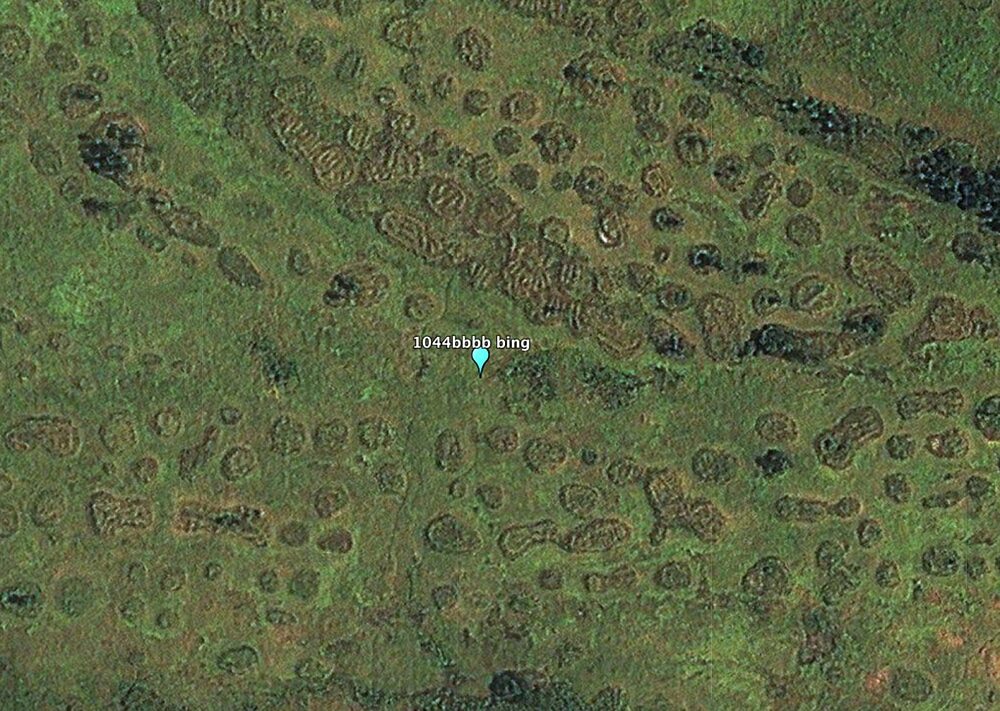Click to enlarge Congo basin