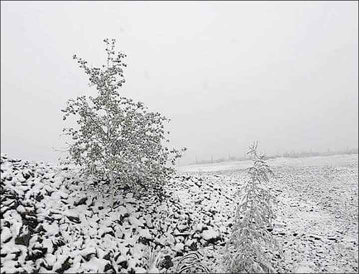 Abnormally cold weather has been recorded in the north of Yakutia with residents of Verkhoyansk district waking up to fresh snow on 5 July.