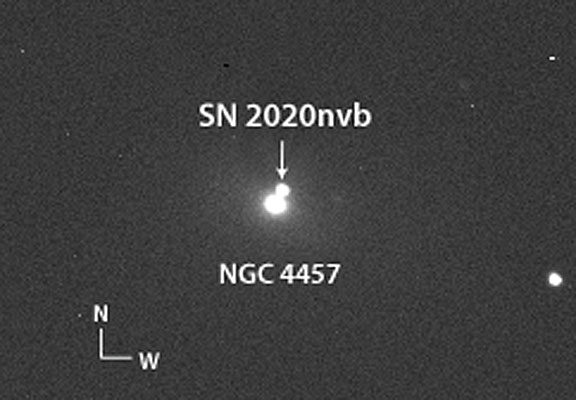 Supernova 2020nvb