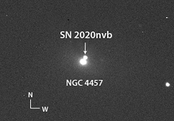 Click to enlarge Supernova 2020nvb