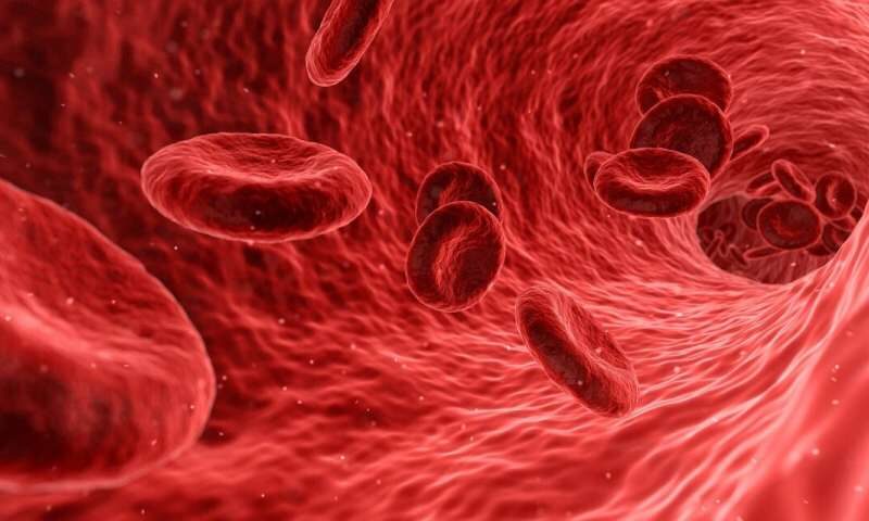 blood
