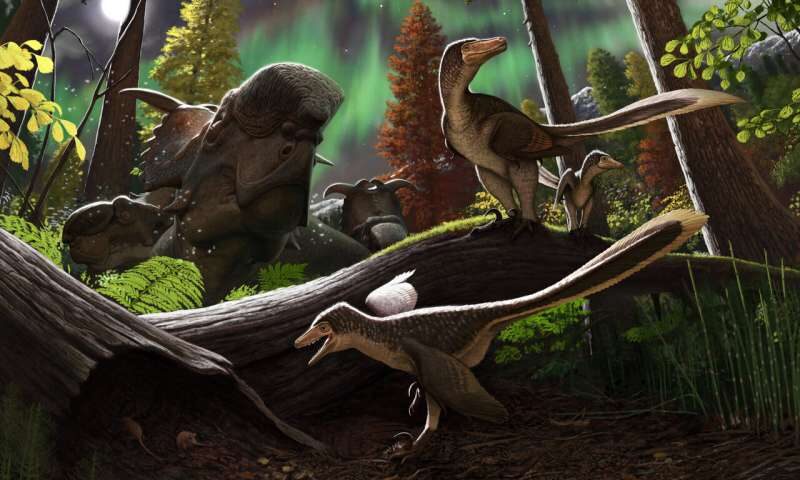 dromaeosaurid