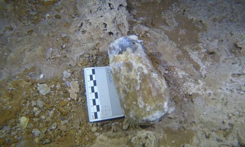 Click to enlarge speleothem
