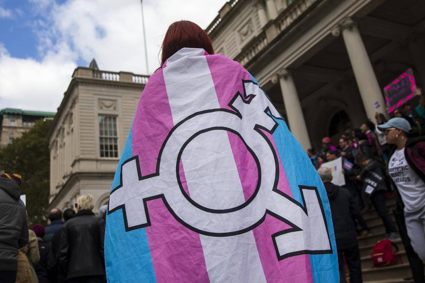 Click to enlarge Transgender, rainbow coalition