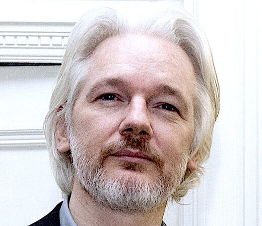 Click to enlarge Assange