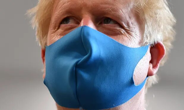 Click to enlarge bojo