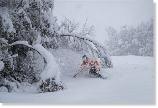 The freshies in Thredbo were best yesterday morning, the snow getting heavier as the day went on.