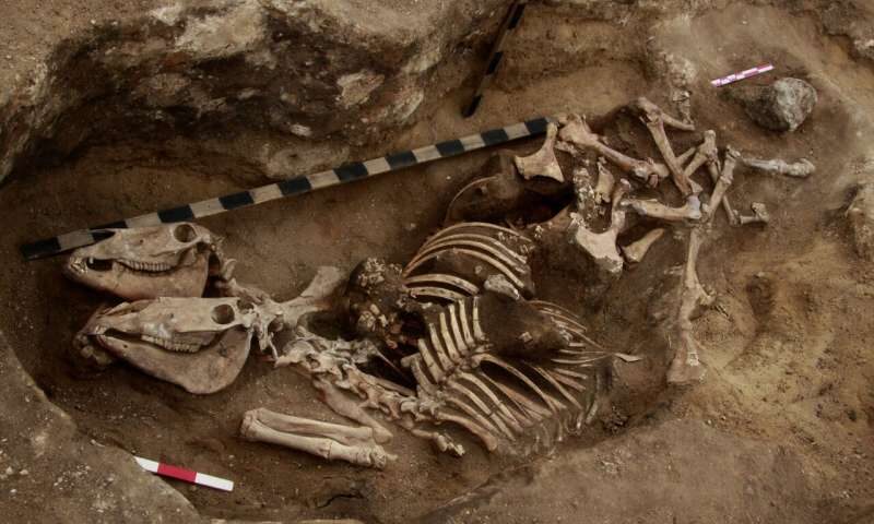 horsemanship ancient