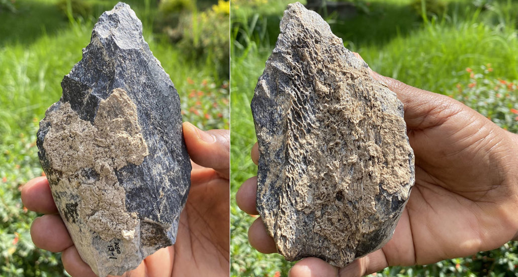 Click to enlarge 1.4-million-year-old bone hand ax Africa
