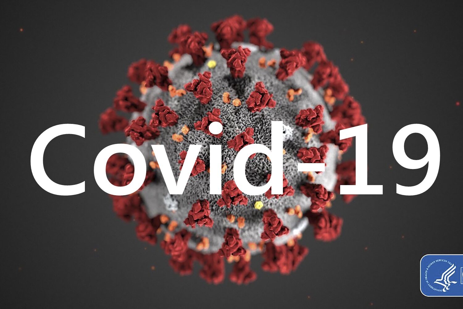 Click to enlarge COVID-19