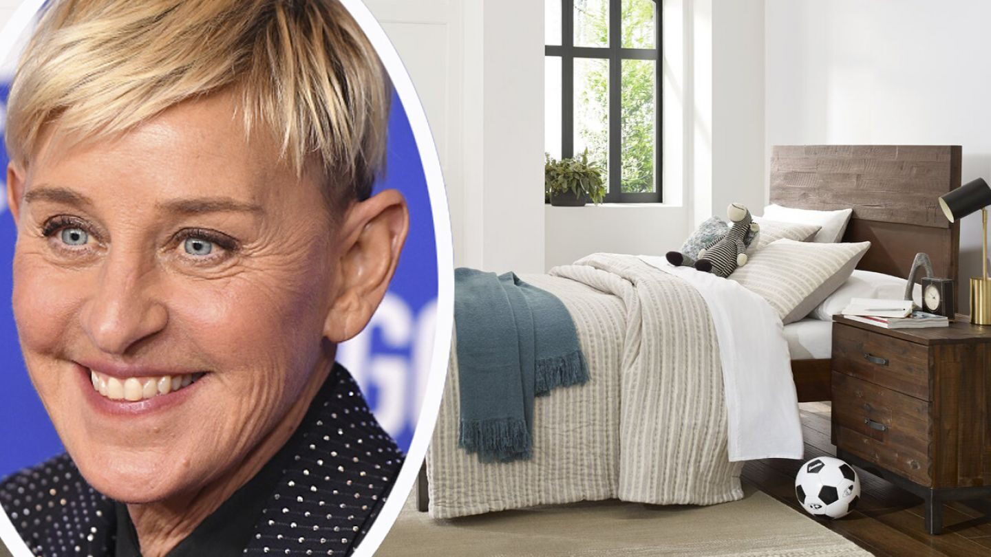 Ellen DeGeneres Wayfair