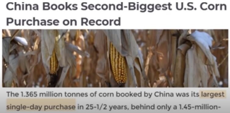 China corn