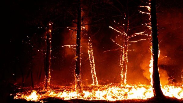 Click to enlarge trees burning