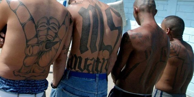 ms-13