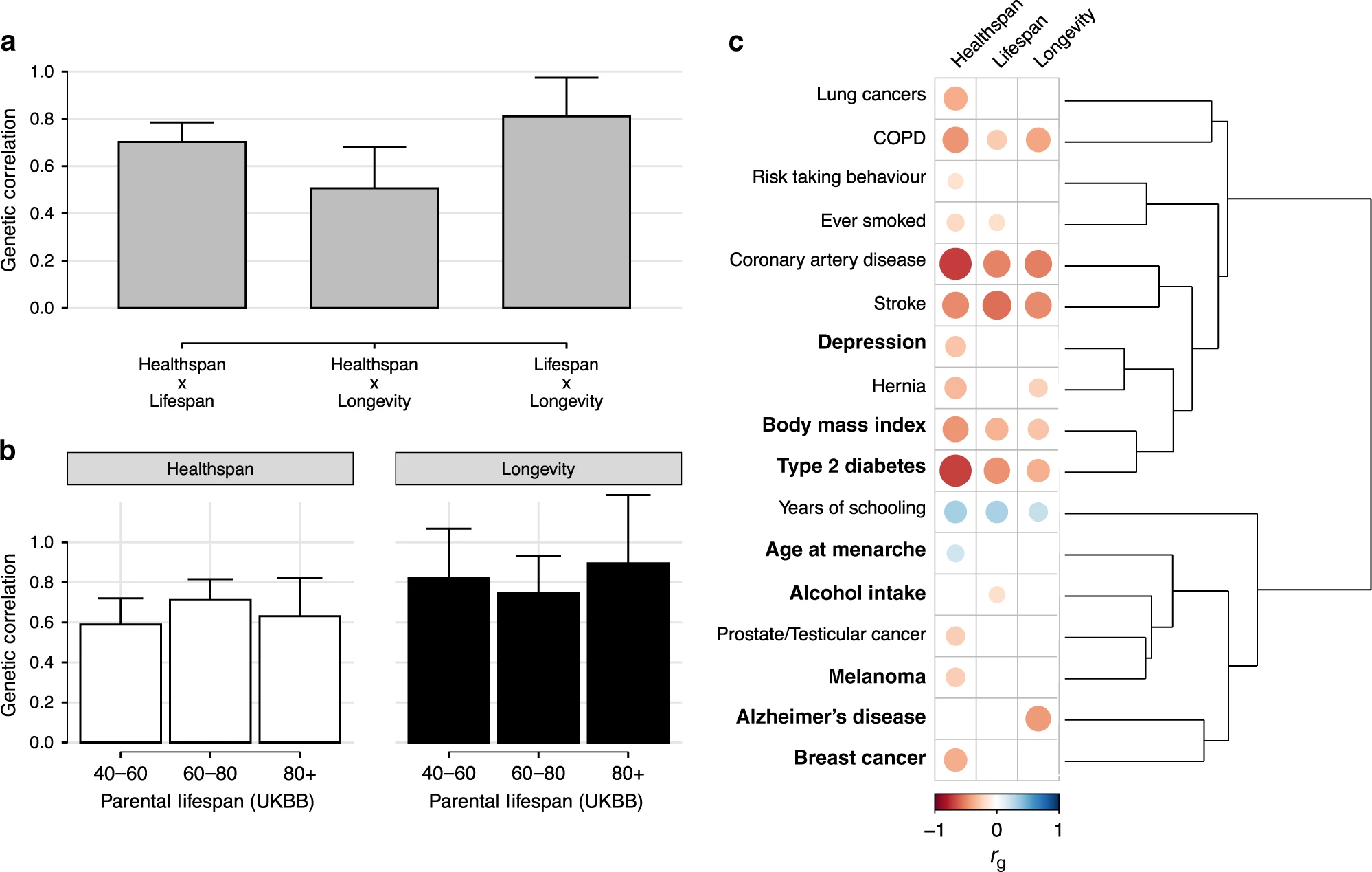 Click to enlarge blood iron levels ageing