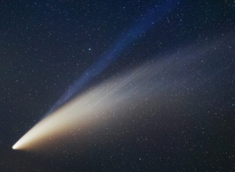 Comet NEOWISE tails