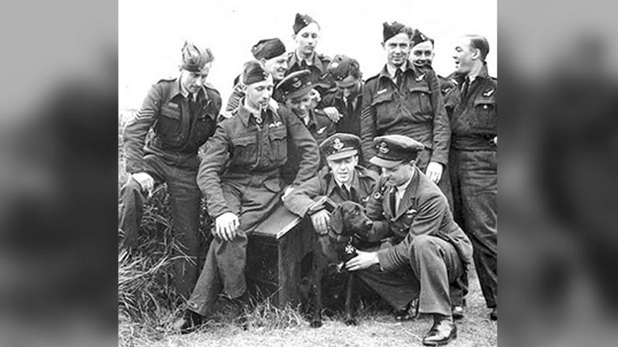 WWII mascot dog name offensive