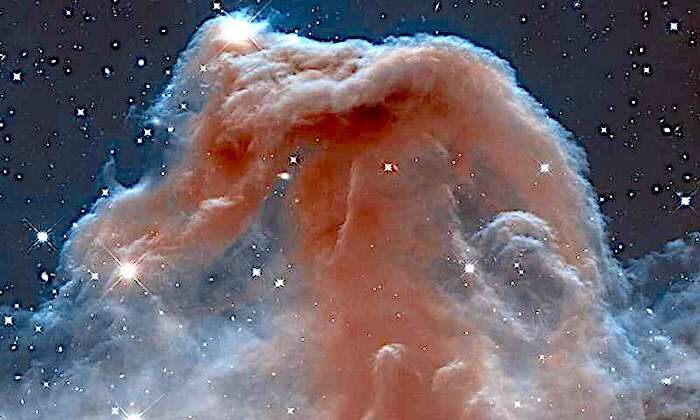 organic matter nebula