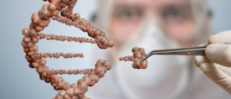 Click to enlarge altering DNA