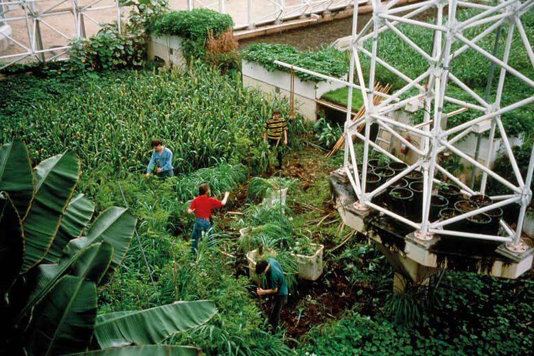 Click to enlarge Biosphere