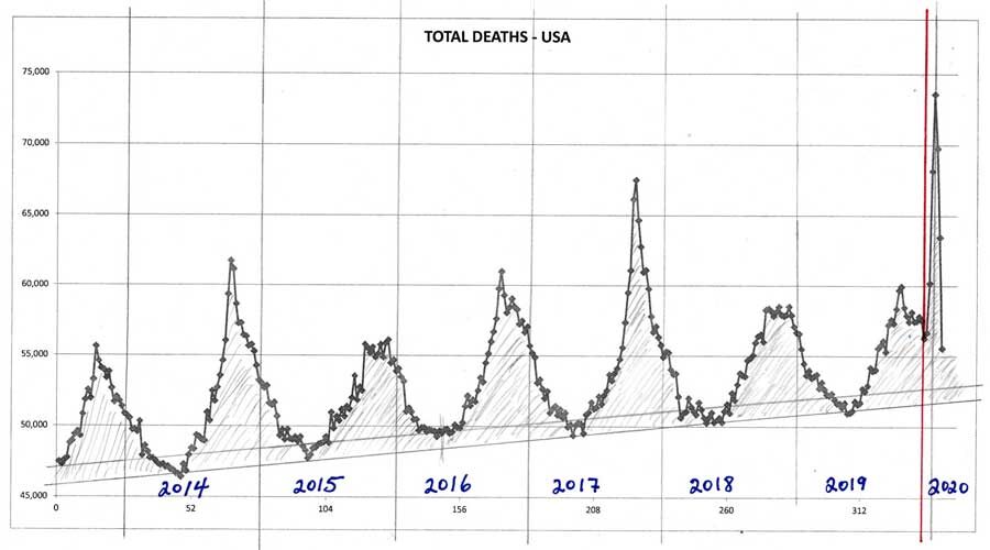 total deaths per year graph usa