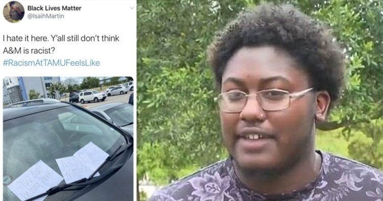 Click to enlarge Black Lives Matter rascist hoax