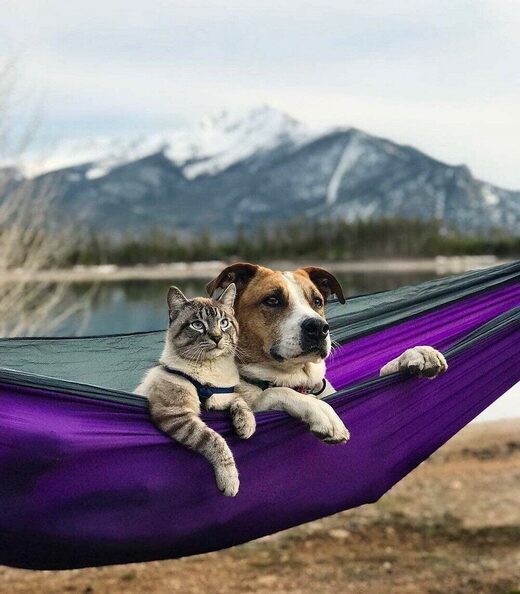 Click to enlarge Friends forever