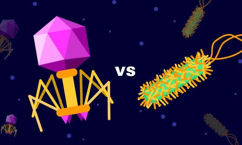Click to enlarge virus bacteria