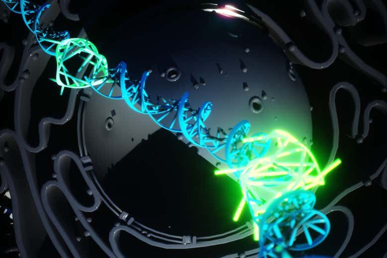 helix dna