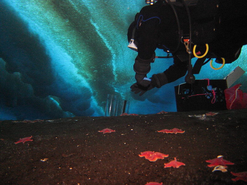 Click to enlarge Exploring Methane Seep