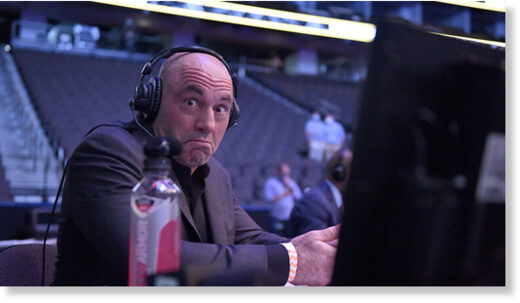 sleep expert joe rogan sleep expert joe rogan