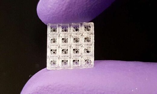 Click to enlarge lego design bone implant repair