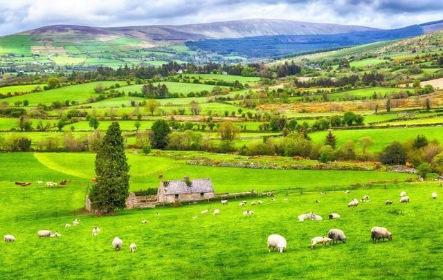 irish countryside