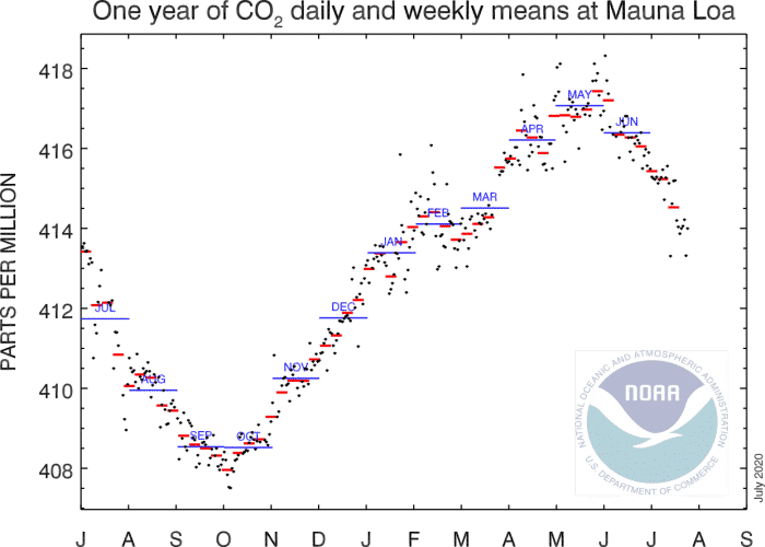one year of co2 graph