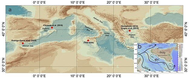 mediterranean warm