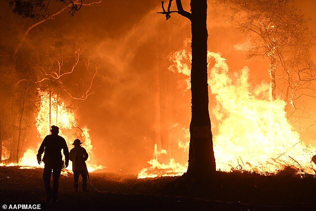 Shoalhaven fire