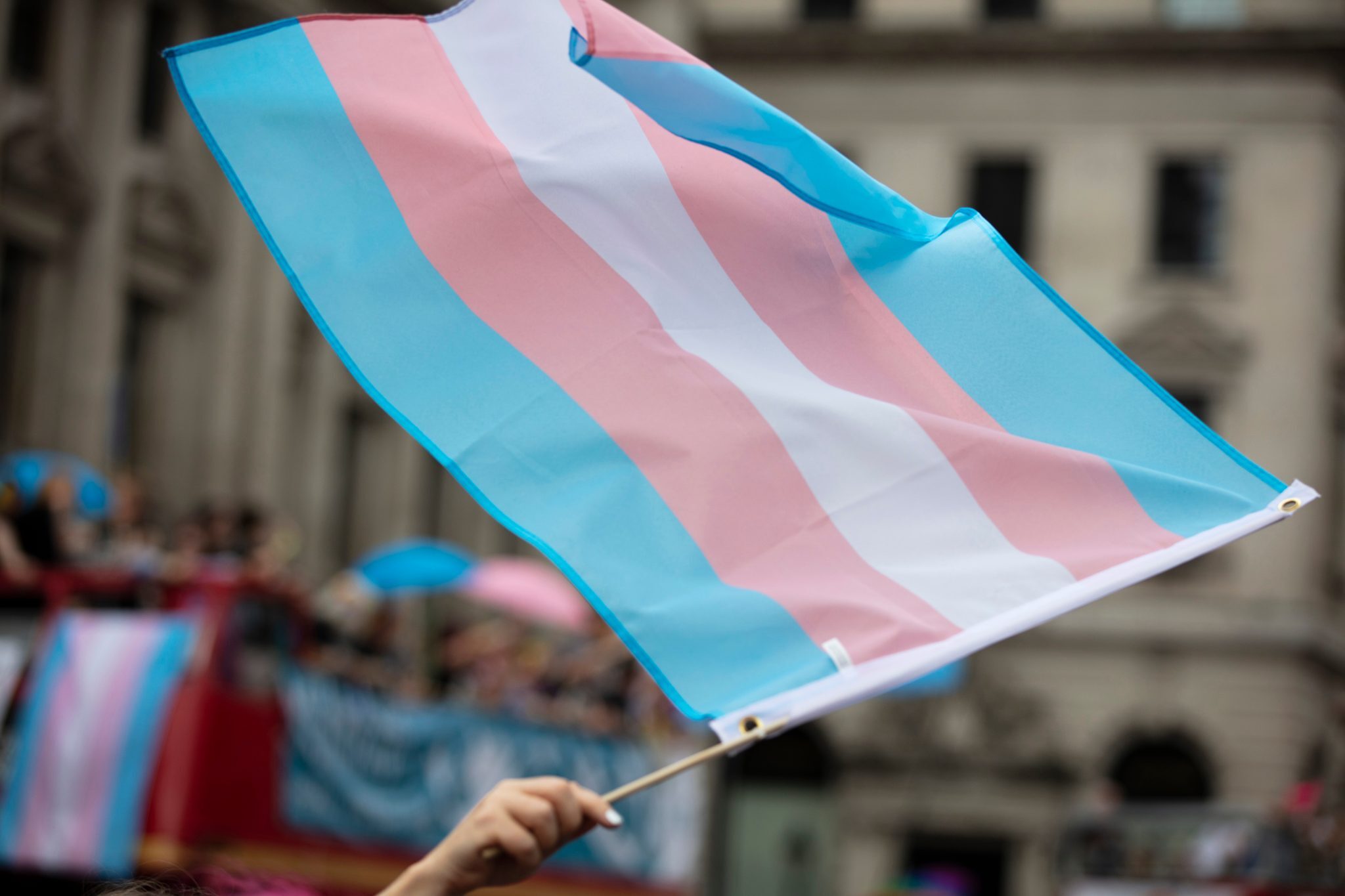 Click to enlarge transgender flag
