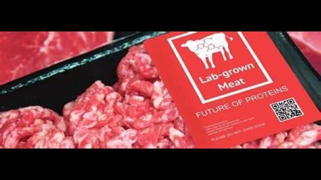 lab meat